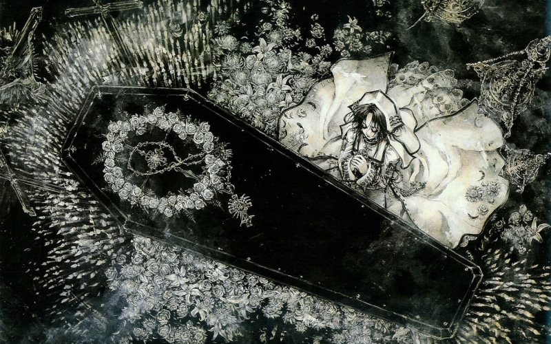 720P, anime girls, solid, close-up, animal, anime, nature, backgrounds, textured, Trinity Blood, abandoned, animal themes, plant, high angle view, dirt
