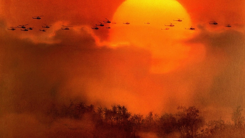 vertebrate, animal wildlife, flock of birds, cloud - sky, tree, environment, animals in the wild, animal, no people, flying, bird, 1080P, nature, sunset