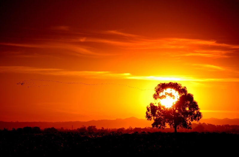 soleil, costadoce, amerique, orange color, non-urban scene, poniente, cloud - sky, pelotas, idyllic, sudamerica, ameriquedusud, tranquil scene, sky, americadelsud