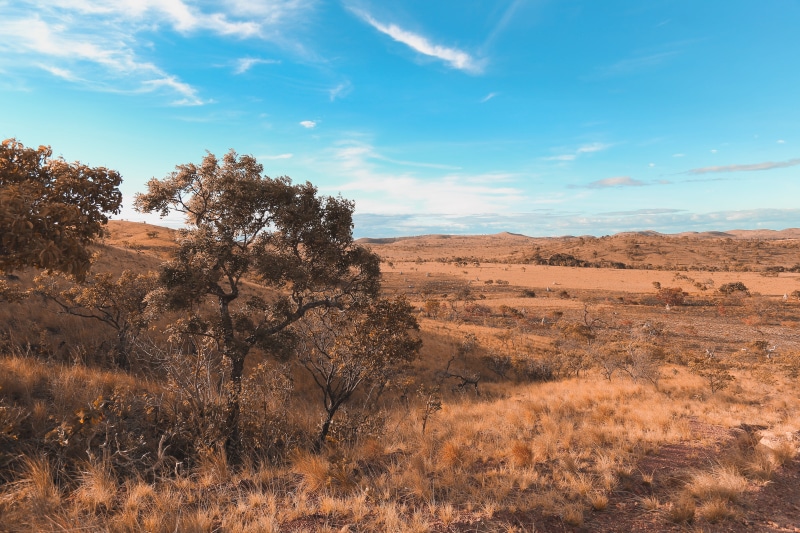 plant, tranquil scene, remote, nature, serra do tucano, southamerica, sky, brazil, cloud - sky, no people, climate, roraima, field, arid climate, scenics - nature