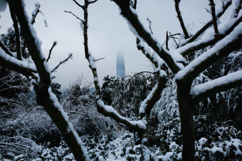 snow, tranquility, beauty in nature, day, winter, covering, clouds, building, nature, plant, outdoors, land, tree, blue, morning, growth, 2K, no people