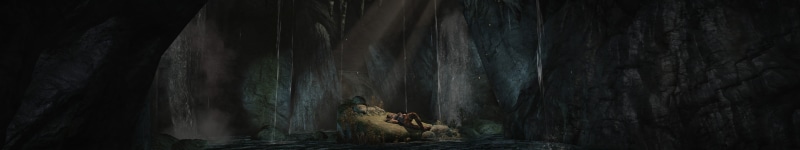 nature, day, cat, no people, one animal, feline, animal family, animal themes, plant, vertebrate, triple screen, Tomb Raider, forest, mammal, Eyefinity