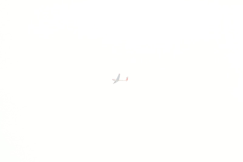 plane, animal themes, animal wildlife, motion, flying, clean, passenger, air vehicle, animals in the wild, mode of transportation, no people, mid-air, bar