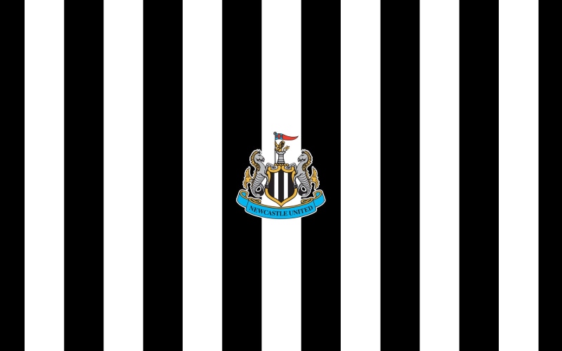 black color, newcastle, european, striped, white background, white color, studio shot, 2K, creativity, human representation, day, football, copy space