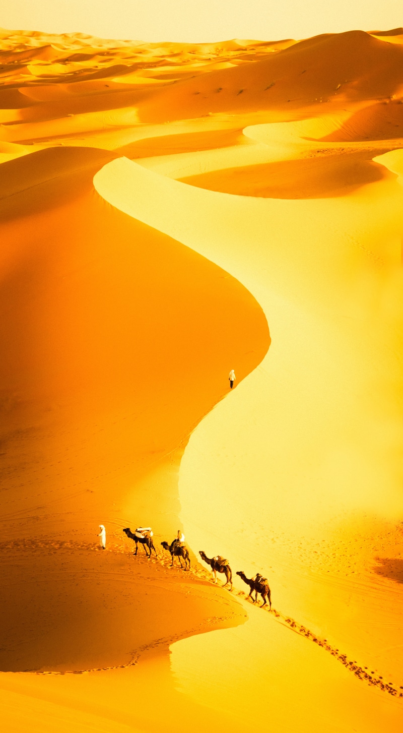 dune, person, Morocco, north africa, day, postapocalyptic, photography, animal, sunset, Merzouga, camel, nature, desert, march, people, sand Dune, beach