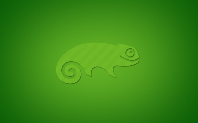 operating system, Linux, environment, green color, communication, animal representation, chameleon, green, close-up, representation, digital art, creativity