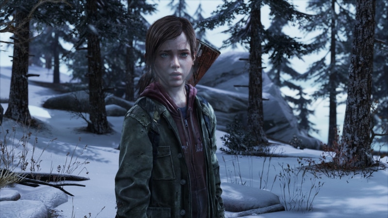 woodland, cold temperature, warm clothing, land, plant, real people, outdoors, looking at camera, tree, video games, character, winter, hairstyle, portrait