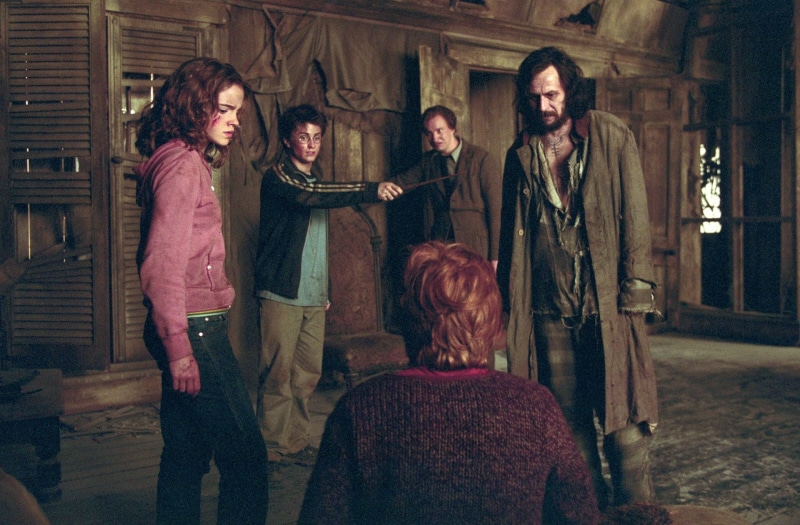Ron Weasley, Sirius Black, Remus Lupin, Harry Potter, Hermione Granger, 1080P, Harry Potter and the Prisoner of Azkaban