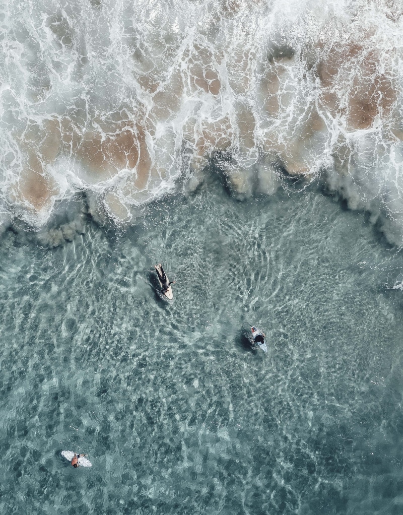 high angle view, escape, eye, view, sea, day, animal, animals in the wild, beauty in nature, body, s, swimming, waterfront, dji surf waves ebrace, real people