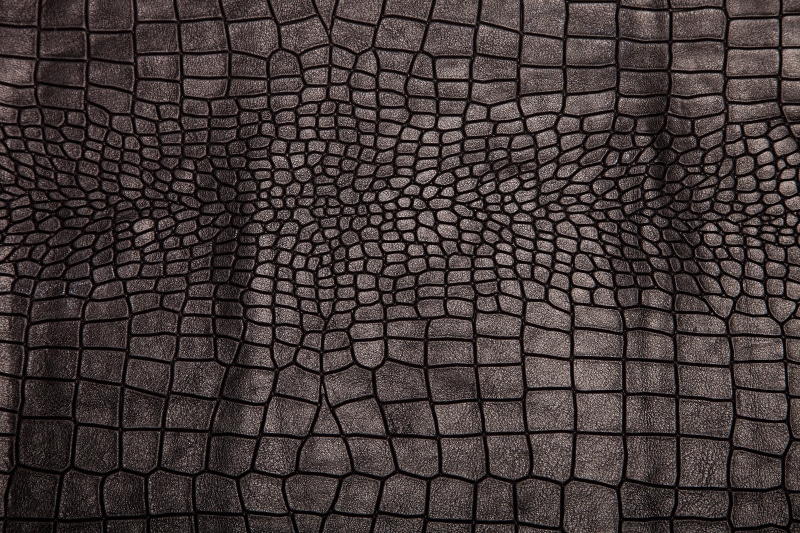 pattern, crocodile skin, barrier, texture, full frame, close-up, metal, cobblestone, 5K, fence, no people, nature, leather, animal, repetition, beauty in nature