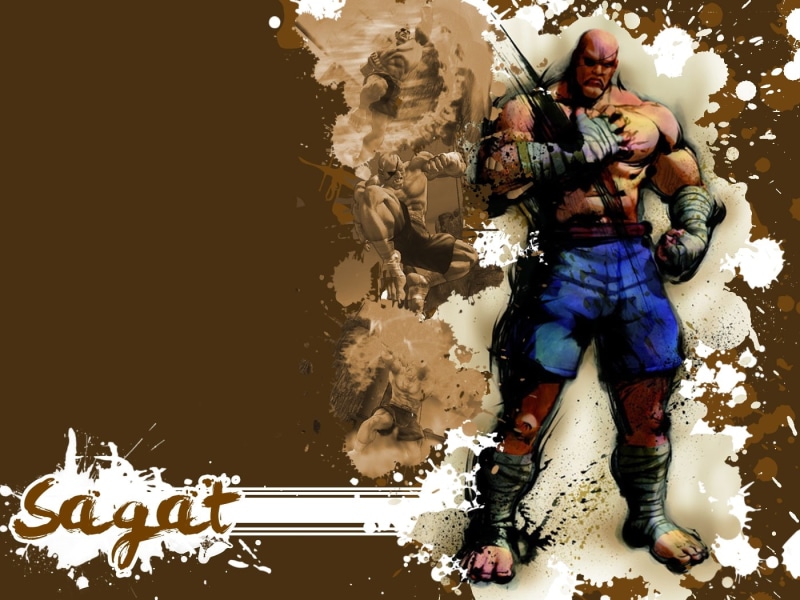 games, street fighter, sagat, video, x, Video Games, art, 720P, street, fighter, hd