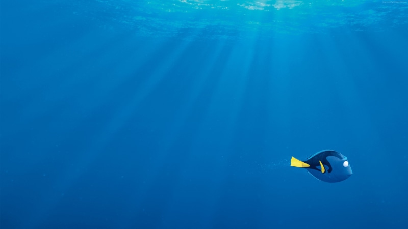 Finding Dory, nemo, fish, Pixar, shark, animation, 4K