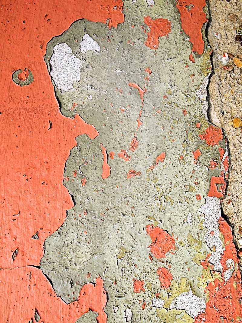 pattern, backgrounds, 2K, textured, day, rug, map, peeling off, animal, wall, built structure, orange color, close-up, diagram, architecture, multi colored
