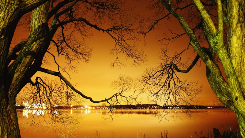 world, design, north, america, outdoors, flag, texture, trunk, scenics - nature, reflection lake, tree trunk, geography, sunset, continent, graphic, atlas