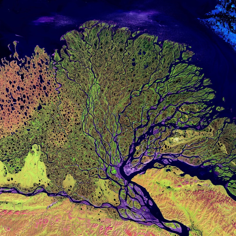 siberia, day, asia, plant, satellite photo, sunlight, lena delta, scenics - nature, russia, river delta, natural pattern, outdoors, high angle view, the arctic ocean