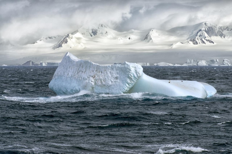 northern Alaska, south Pole, stunning, big, 720P, iceland, nature, polar Climate, snow, float, middle, penguin, arctic, polar, float on, Christopher Michel
