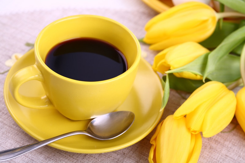 refreshment, close-up, kitchen utensil, heat - Temperature, plant, coffee Cup, flower, crockery, food and drink, espresso, high angle view, brown, tulips