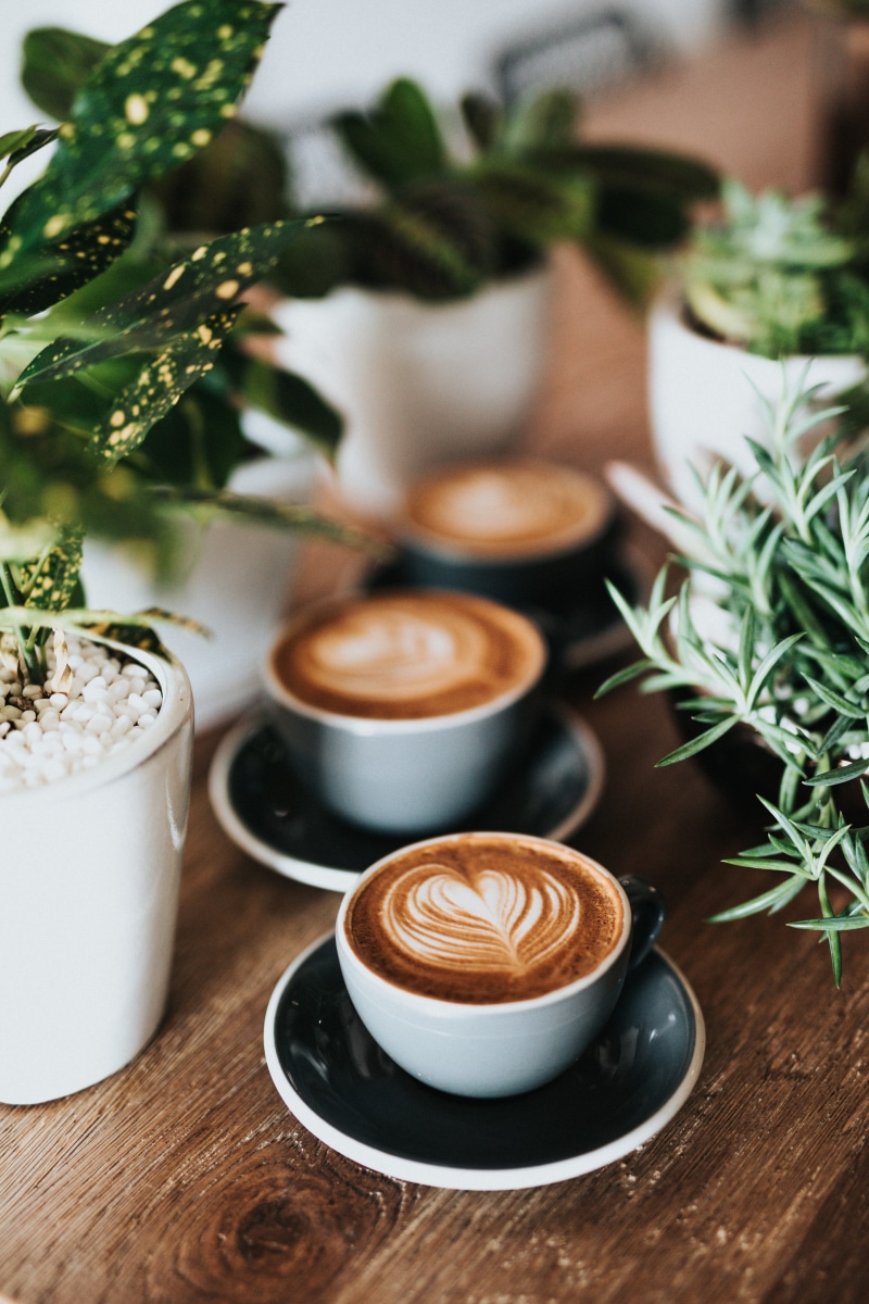 coffee cup, top, latte, plant, no people, food and drink, still life, potted, late, 5K, cafe, green, coffee, indoors, mug, crockery, hot drink, freshness