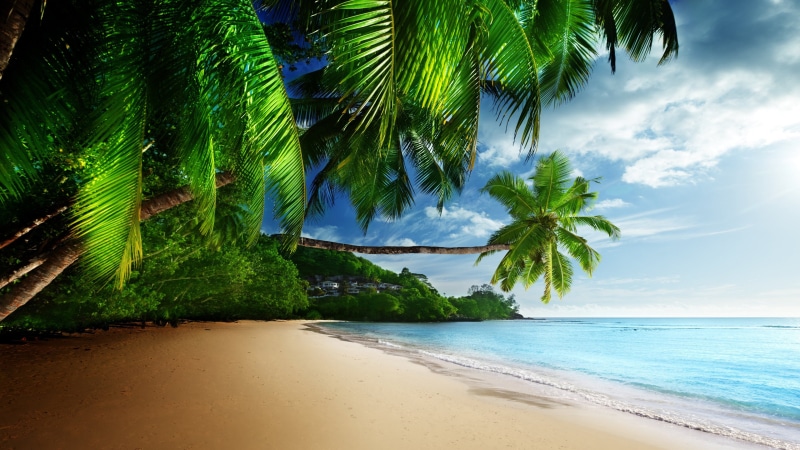 waves, k, sand, beach, hd, seychelles, sea, takamaka, coast, palms, sky, full, desktop, blue, tropical, 4K,