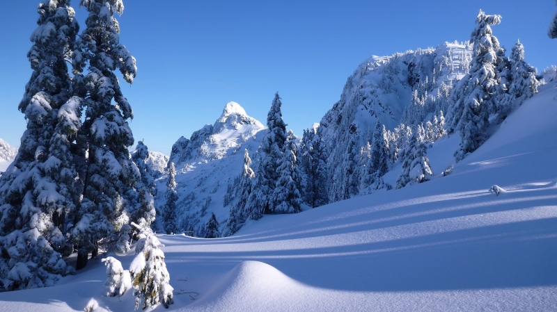 the snow, Vancouver, Canada, the mountains of the North shore, North Shore Mountains, trees, mountains, 2K, British Columbia, snow, ate, winter