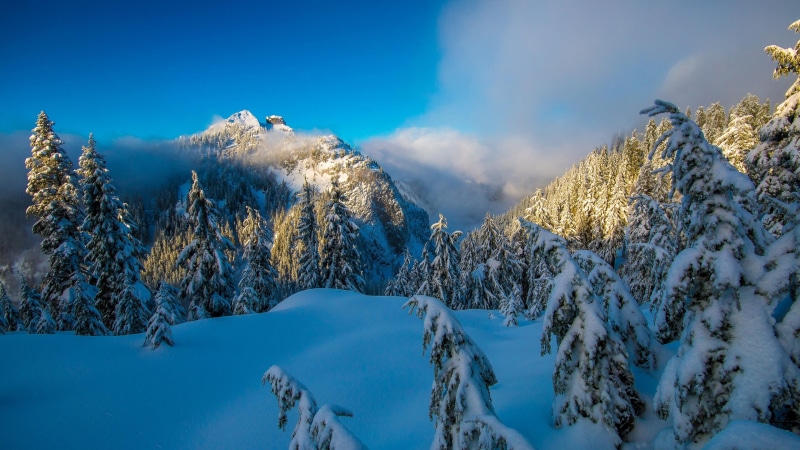winter, snow, mountain, freezing, snowy, pine, fir, 4K, british columbia, vancouver, forest, mount scenery, canada, north shore mountains