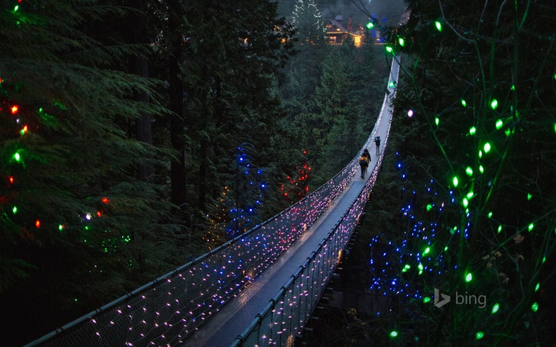 bridge, string, tree, outdoors, high angle view, 1080P, holiday, transportation, suspension bridge, illuminated, lighting equipment, North Vancouver, lights