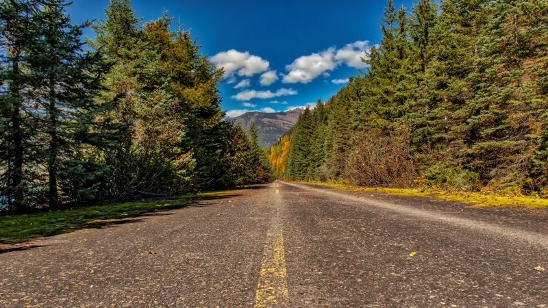 tree, britsh columbia, asphalt, highway, road, sky, 5K, landscape, bc, yellow, hdr, mountain, autumn, wilderness, road surface, mica creek, 5k, 5k uhd