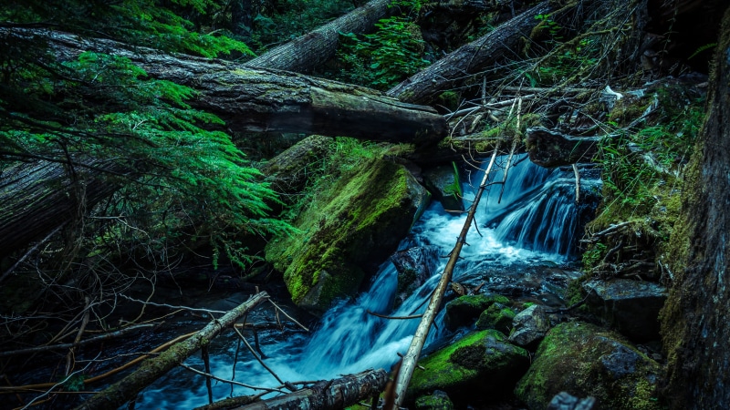 water falls, scenics, Ferns, Rainforest, falls, Boulders, BC, Canada, Trail, Lindeman Lake, Outdoor, Low, Moss, Fraser Valley, beauty In Nature, photography