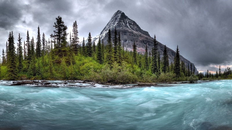 british columbia, pine woodland, coniferous tree, no people, river, plant, power in nature, berg lake trail, rapid, mount robson, forest, tranquil scene