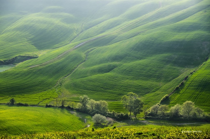 di, toscana, agriculture, view, field, farm, Asciano, aerial, nature, tuscany, italia, meadow, outdoors, green Color, Siena, summer, plains, scenics, aerial view