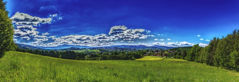pine woodland, panorama, mountain peak, valley, bavarian forest, distant, green, outdoors, rural, foresight, no people, tranquil scene, daytime, meadow