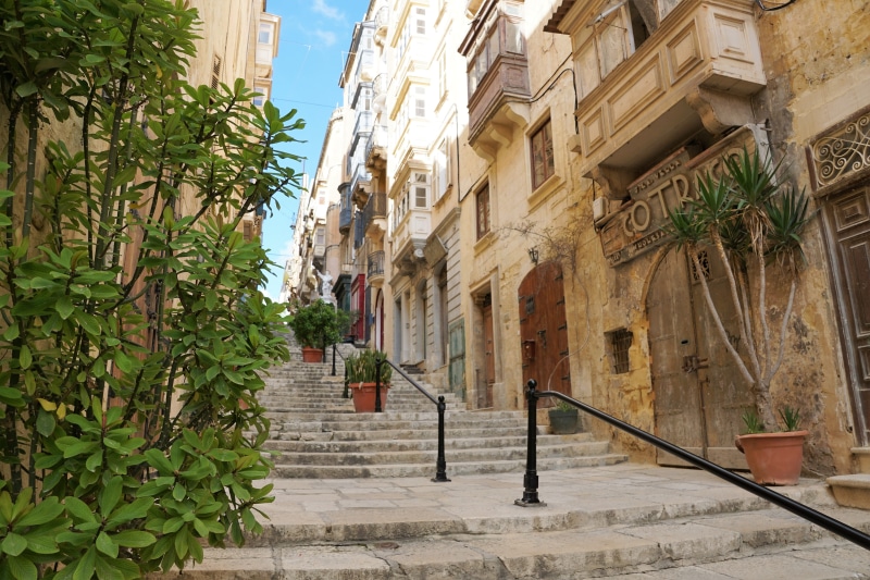 steps and staircases, valetta, facade, low angle view, mediterranean, gray, nature, door, residential district, alley, 5K, growth, holiday, home, city