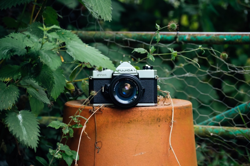 security, black and gray, boundary, safety, camera - Photographic Equipment, plant, daytime, day, photographic equipment, equipment, lens - Optical Instrument