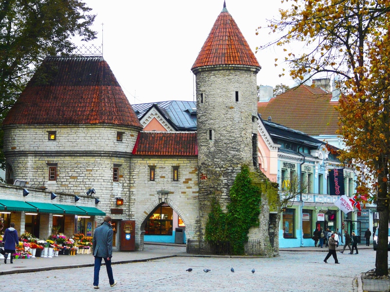tallinn, near, old, 2K, tree, daytime, city, design, women, full length, plant, sky, street, building, tourism, old town, structure, walking, picturesque