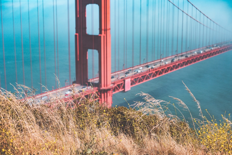 river, Golden Gate Bridge, blurred, architecture, plant, san francisco, marin County, san Francisco Bay Area, outdoors, ocean, Background, room for text