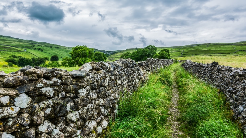 cloud - sky, environment, outdoors, solid, dry stone wall, season, beauty in nature, green color, cloud, desktop, rock - object, tree, non-urban scene