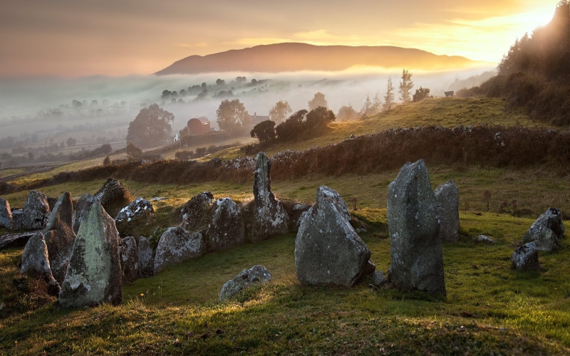 plant, stones, forest, history, tranquility, gray, landscape, beauty in nature, Sun, England, sunlight, hills, ancient, environment, no people, house, land