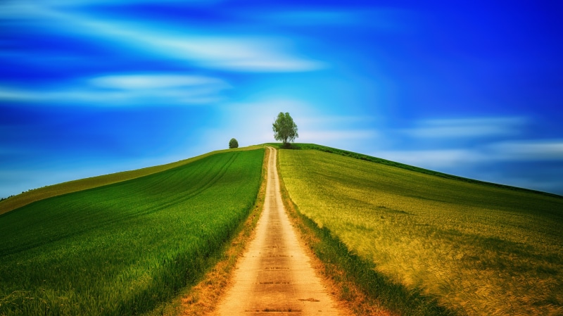 field, nature, direction, blue, plant, no people, walk, cloud - sky, tranquil scene, mood, road, the way forward, outdoors, summer, green, rural scene