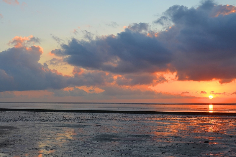 east frisia, tranquil scene, no people, tranquility, sea view, horizon over water, idyllic, 2K, scenics - nature, outdoors, ebb, wadden sea, beauty in nature