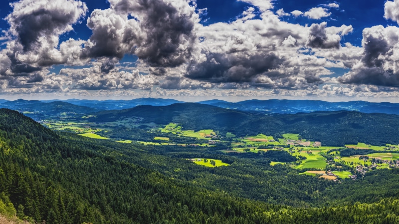 foresight, forests, mountaineering, outdoors, sky, no people, hiking, green color, growth, cloud - sky, trees, range, hill, photography, tranquil scene