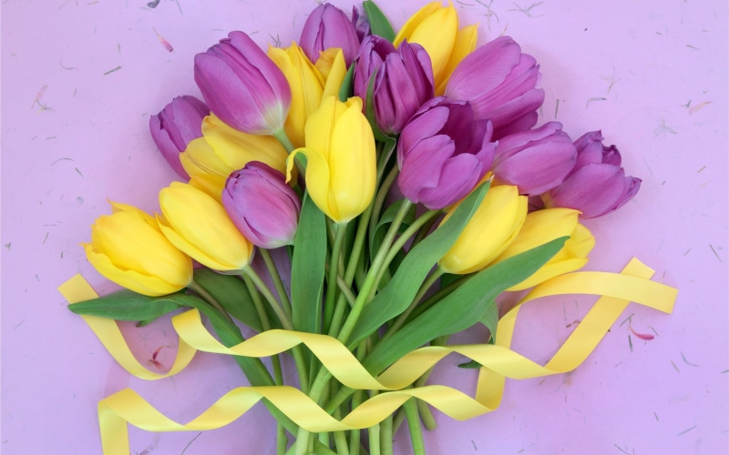 Ribbon, Purple, Yellow, Tulips, Flowers, Bouquet, 2K