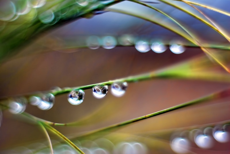 dew, extension, String, Macro, green grass, freshness, plant, drop, wet, abstract, gear, summer, selective focus, green, Nikon D80, leaf, raindrop, 2K