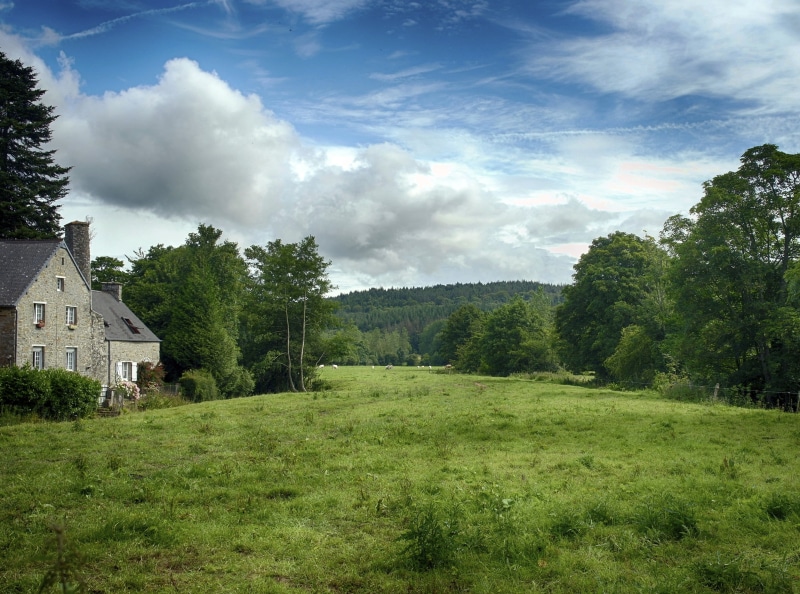 detail, village, sky, water  house, flower, villa, cows, animals, process, greenery, range  road, fence, le  vast, high  hill, long, black  blue, field