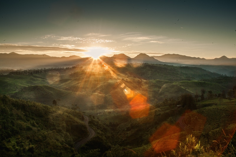 idyllic, indonesia, beauty in nature, outdoors, scenics - nature, tranquil scene, non-urban scene, teaplantation, sceen, no people, westjava, sun, sunlight