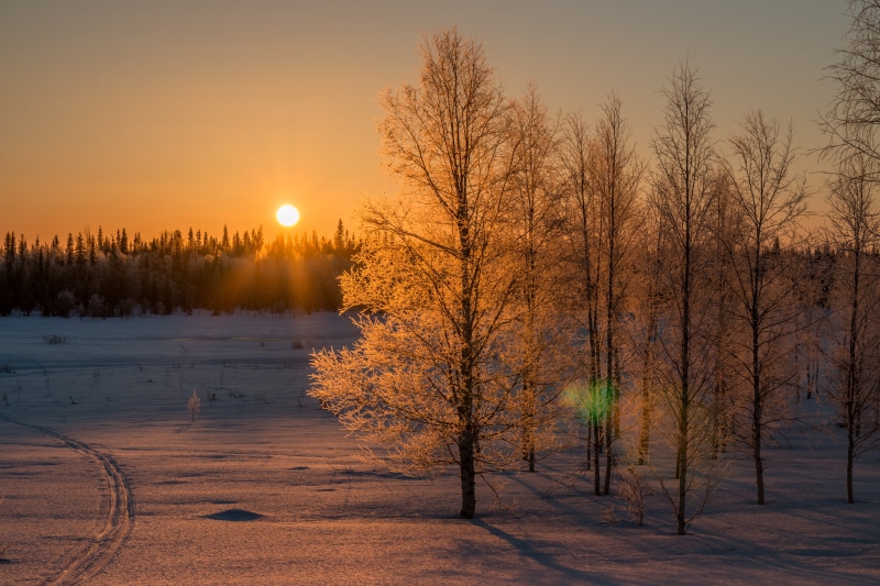 outdoors, scenics, landscape, Pallas, season, blue, forest, frozen, far, photo, rural Scene, woodland, Explored, sunset, frost, snow, nature, cold, tree