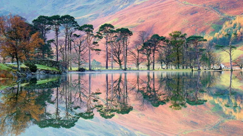 buttermere, europe, cumbria, loch, reflect, lake, tree, water, bank, mountain, nature, reflection, 4K, sentinel pines, landscape, sky, buttermere lake