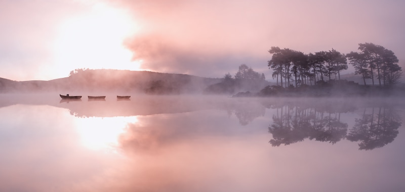 tree, forest, three, fogs, water, Light, Kilmacolm, Loch, Sunrise, Dawn, Reflection, fog, reflections, 5K, Mist, filled, calm, boats, Scotland, near, floating