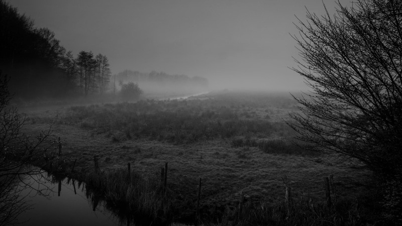 outdoors, plant, nature, ground fog, non-urban scene, beauty in nature, mist, fog, environment, photography, river, tree, tranquility, germany, growth