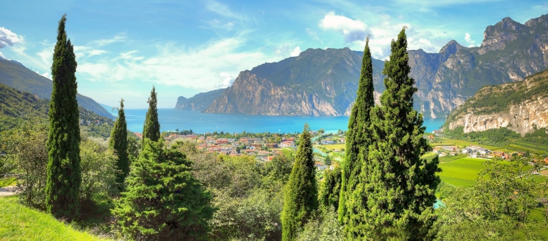 tree, view  lake, body, near, european Alps, water, sul, blue, hill, mountain, new frontier, nature, lake, Torbole, body of water, summer, hdr, green Color