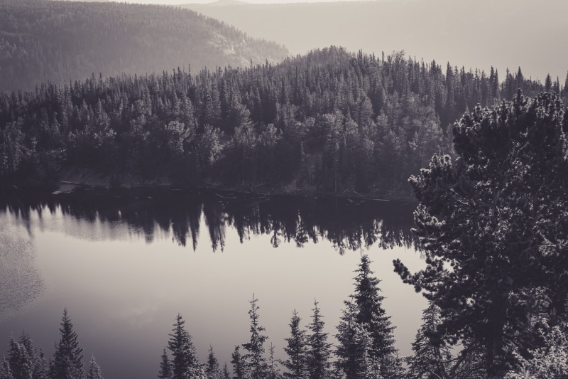 snow, water, grey, tall, tranquility, tree, reflection, tranquil scene, near, pine tree, covered, 5K, scenics - nature, serene, woodland, plant, no people